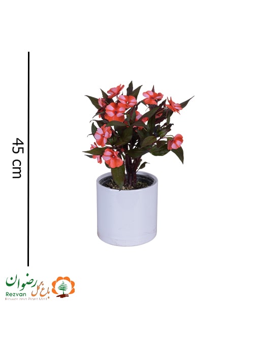 گیاه ام پی شن (حنا) با گلدان مهرنی مدل پاچیرا 21-20 سفید کد IM2