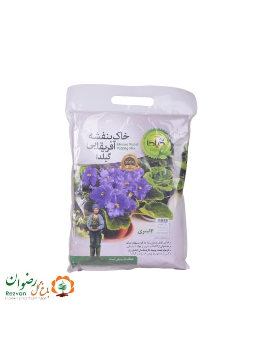 خاک بنفشه آفریقایی گیلدا 2 لیتری