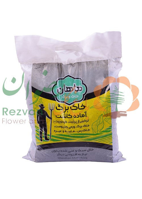 خاکبرگ ماهان سایز کوچک