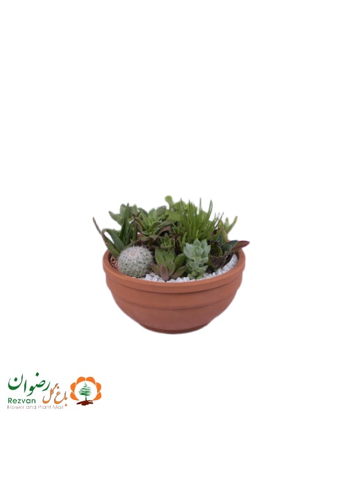 دیش گاردن سفال خام سایز1کدDG12