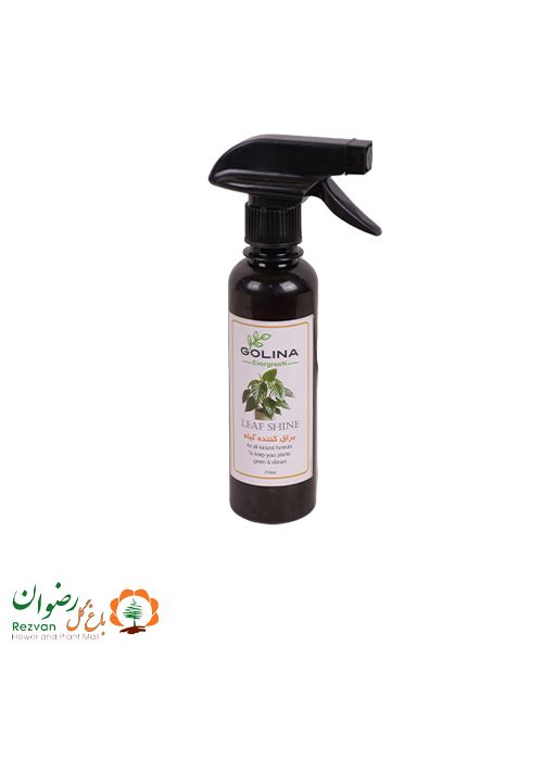 اسپری براق کننده گیاه گلینا — تصویر 1