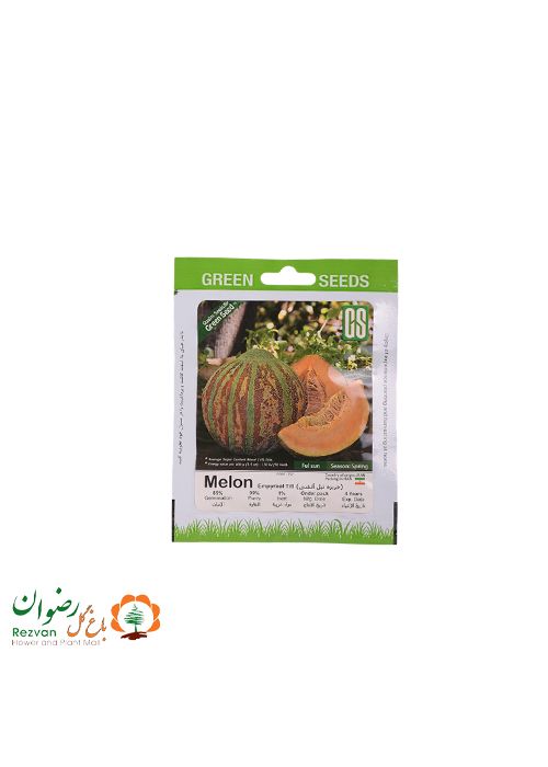 بذر خربزه تیل آتشی — تصویر 1