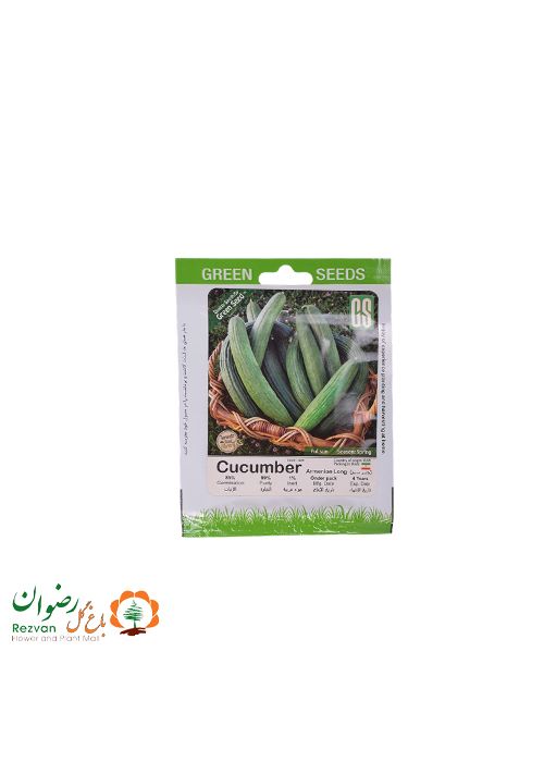 بذر چنبر سبز