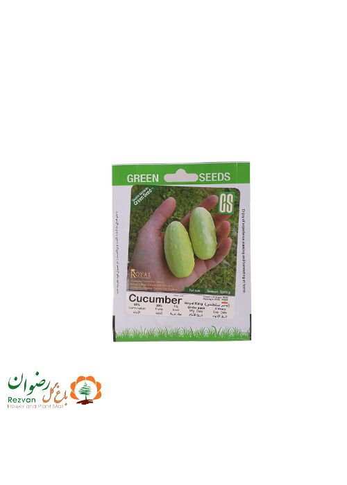 بذر چنبر سلطنتی — تصویر 1