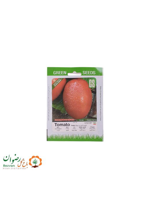 بذر گوجه کشیده روما — تصویر 1