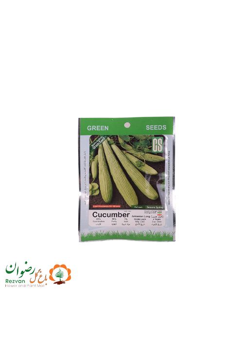 بذر خیار چنبر