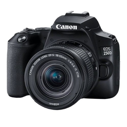 دوربین عکاسی کانن Canon EOS 250D 18-55mm IS STM