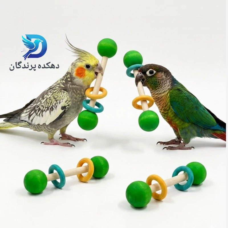 اسباب بازی پرنده مدل دمبل بازی عروس هلندی،گرینچیک و...