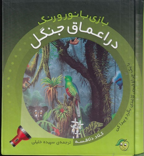 کتاب بازی با نور و رنگ- در اعماق جنگل نشر پیام مشرق