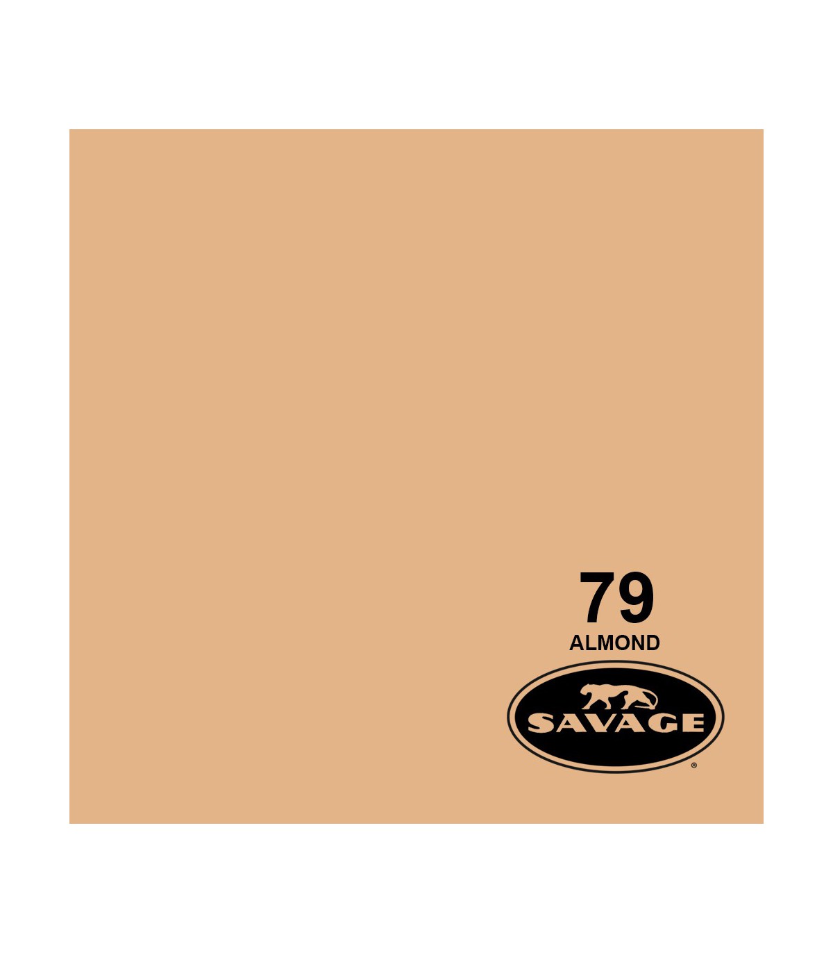 فون کاغذی SAVAGE کد رنگی Almond 79-12 — تصویر 1