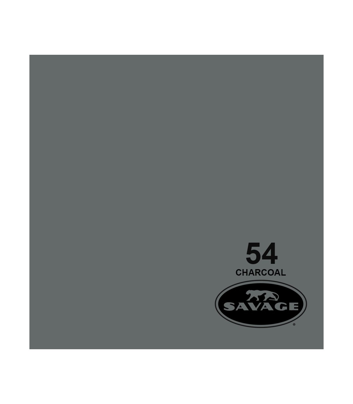 فون کاغذی SAVAGE کد رنگی Charcoal 54-12