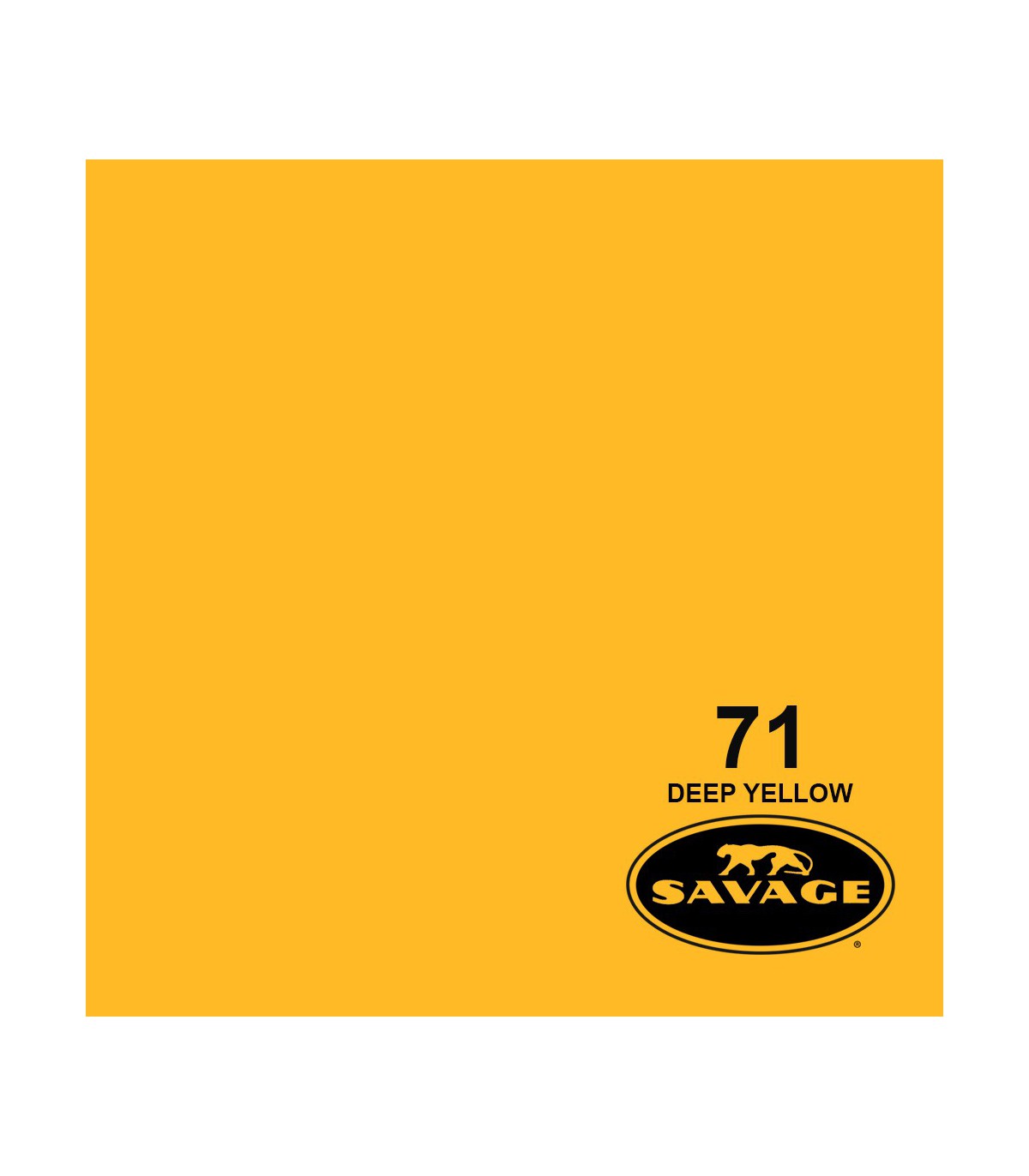 فون کاغذی SAVAGE کد رنگی Deep Yellow 71-12