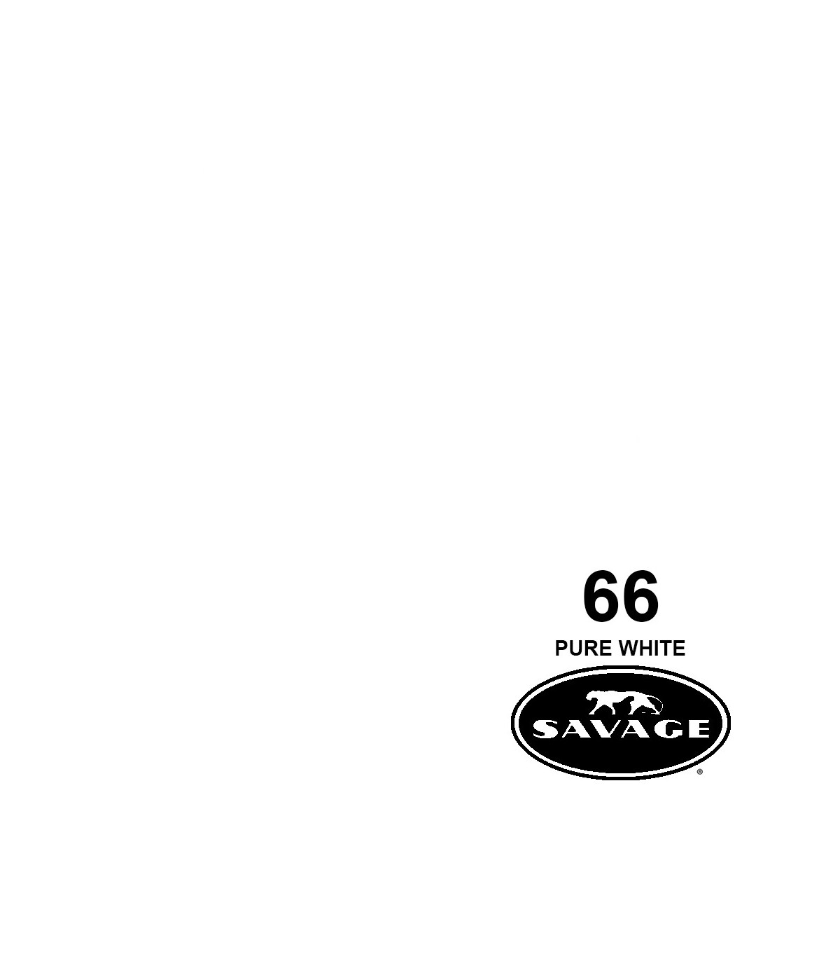 فون کاغذی SAVAGE کد رنگی Pure White 66-12
