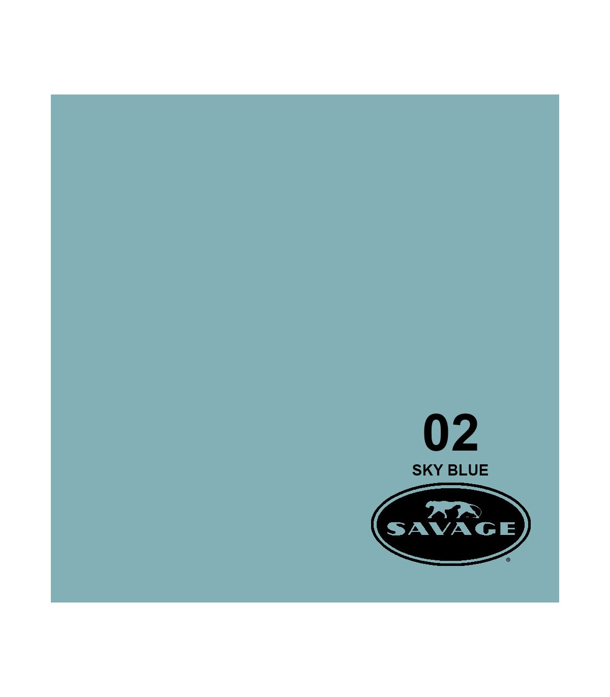 فون کاغذی SAVAGE کد رنگی Sky Blue 02-12